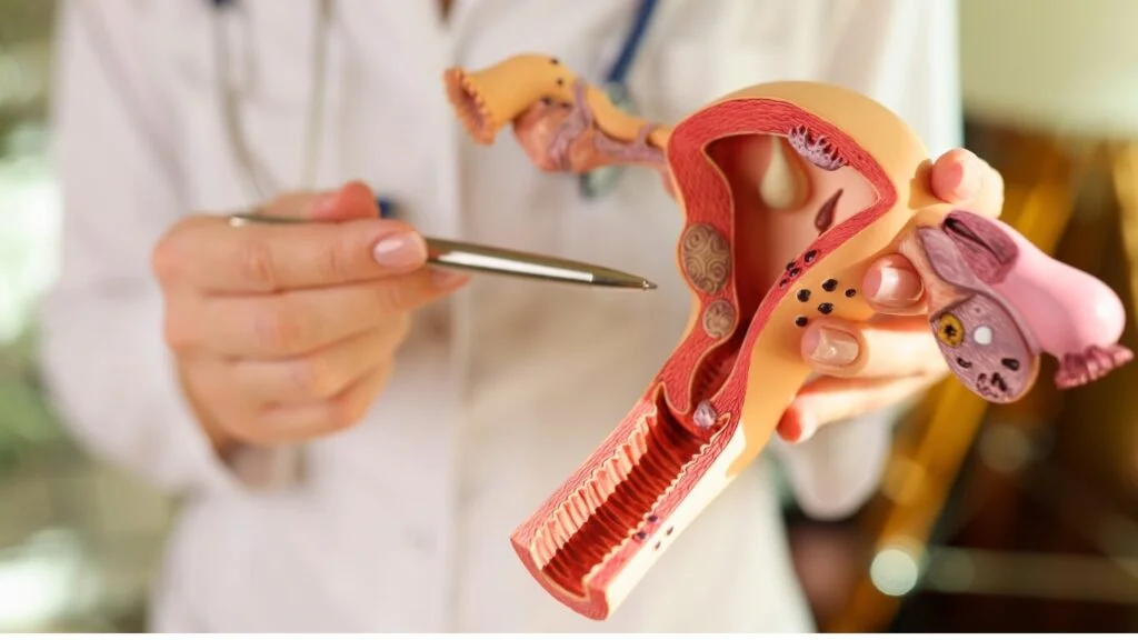 Understanding Vaginal Rejuvenation: What It Is and Who It’s For