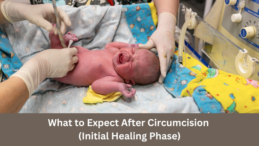 What to Expect After Circumcision (Initial Healing Phase)