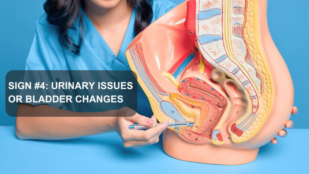 Urinary Issues or Bladder Changes