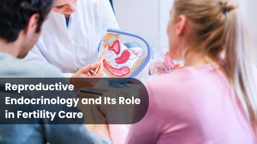 Reproductive Endocrinology and Its Role in Fertility Care 