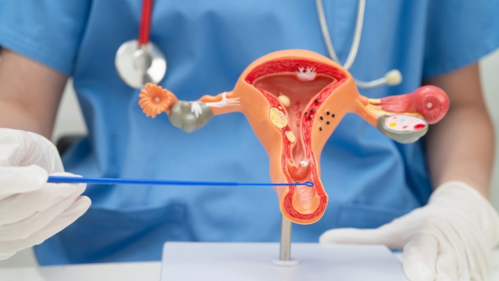 Vaginal Rejuvenation in Manhattan, NY: What You Need to Know Before Choosing a Provider