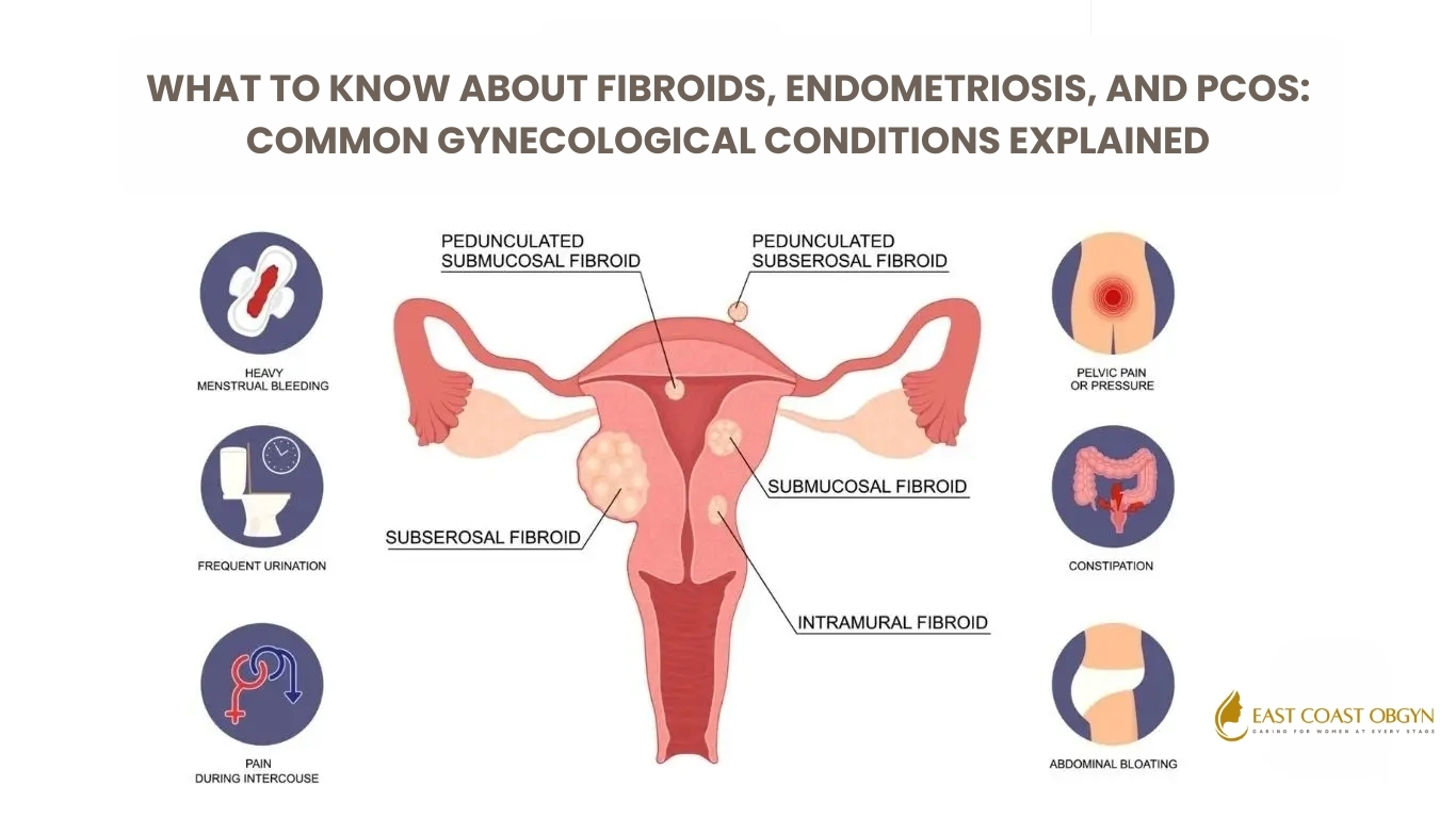 What to Know About Fibroids, Endometriosis, and PCOS: Common Gynecological Conditions Explained
