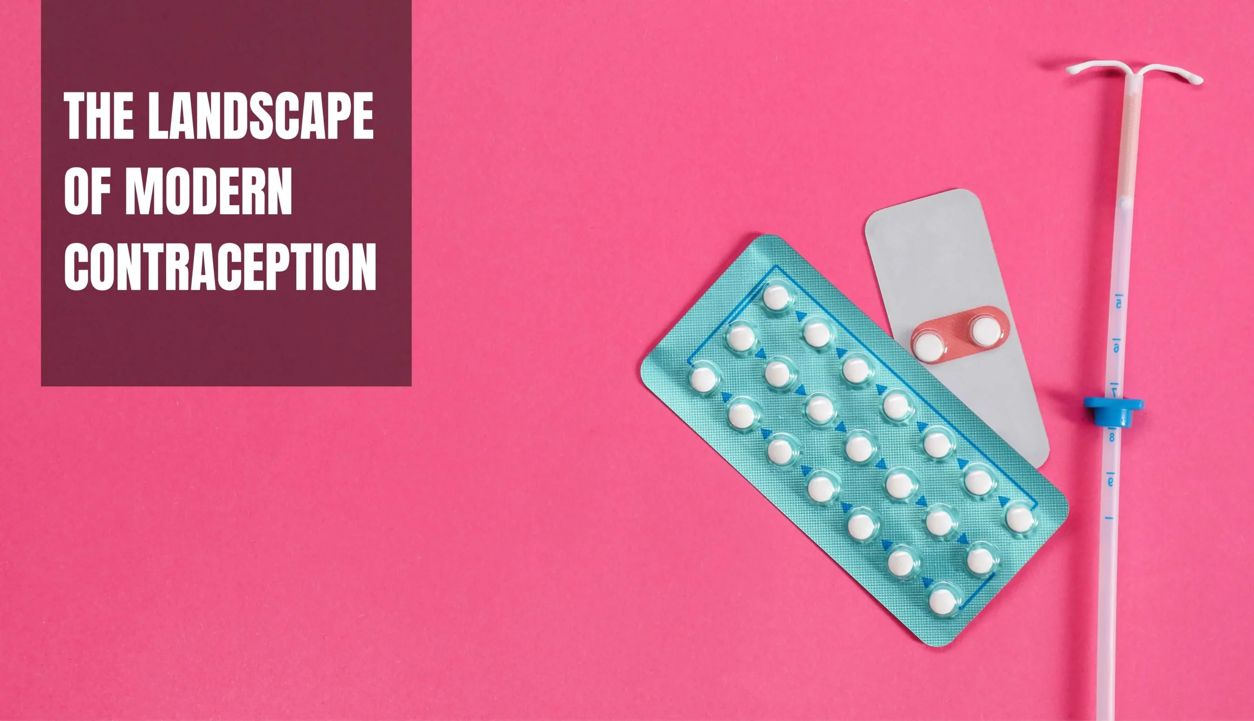 The Landscape of Modern Contraception