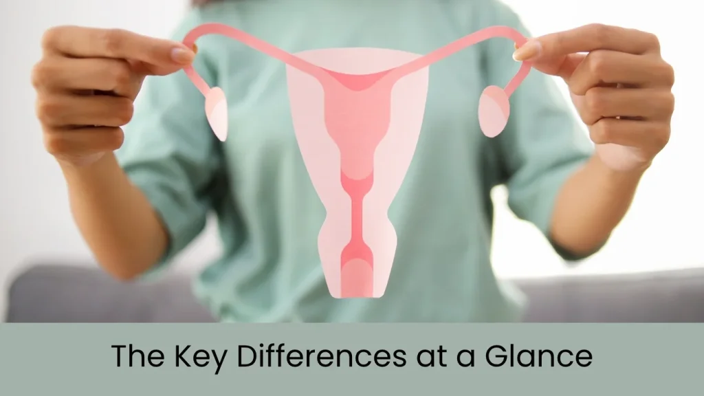 The Key Differences at a Glance
