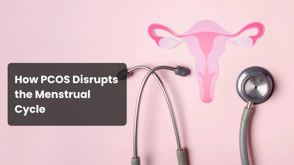Medical illustration of PCOS disrupting the menstrual cycle in women