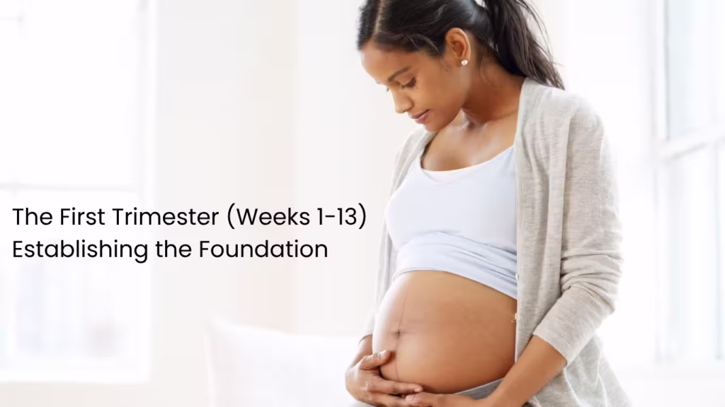 Expectant mother looking at her baby bump during the first trimester of pregnancy, covering weeks 1 to 13 and early prenatal development.
