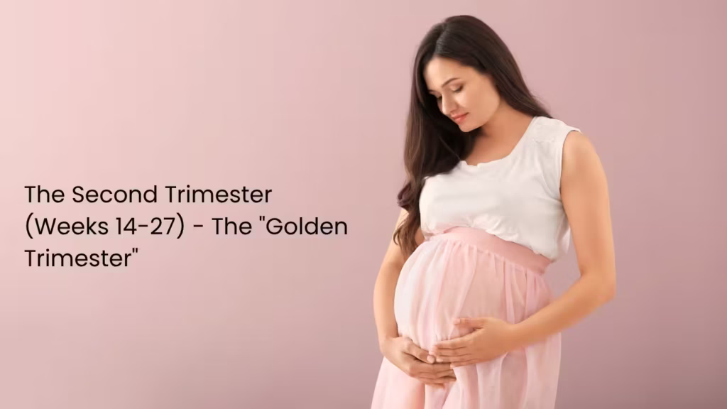 Pregnant woman in the second trimester with a growing baby bump during weeks 14 to 27, often called the golden trimester
