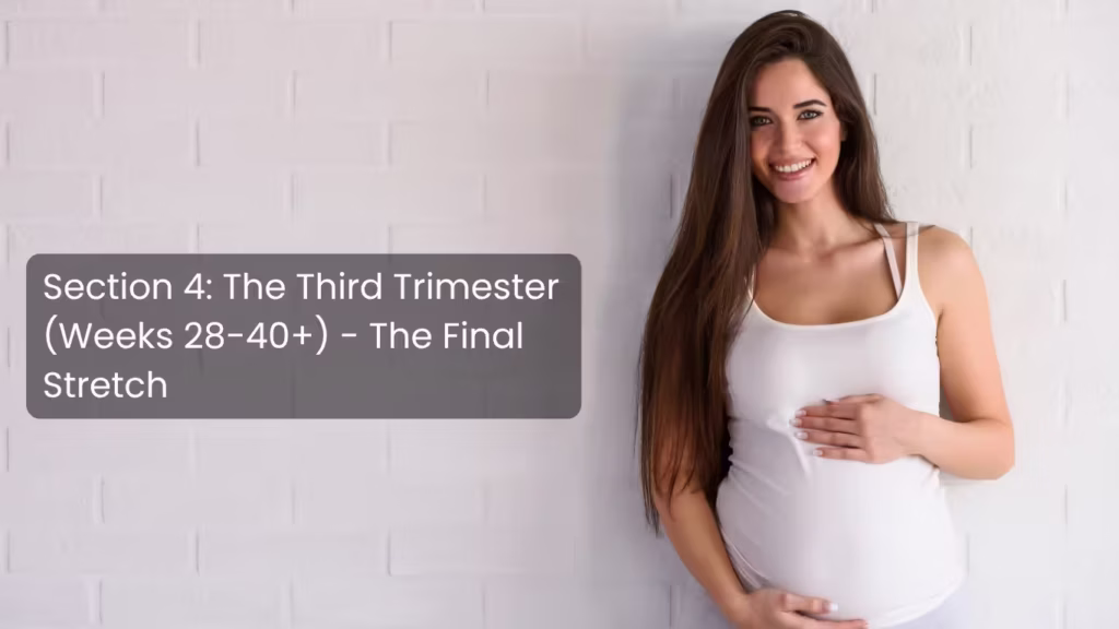Smiling expectant mother in the third trimester of pregnancy during weeks 28 to 40 and beyond as she prepares for childbirth.